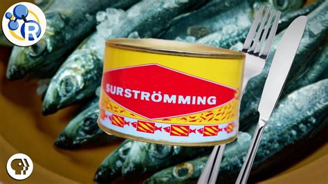 the stinkiest fish in the world|Surströmming: The Swedish Stinky Fish Delicacy